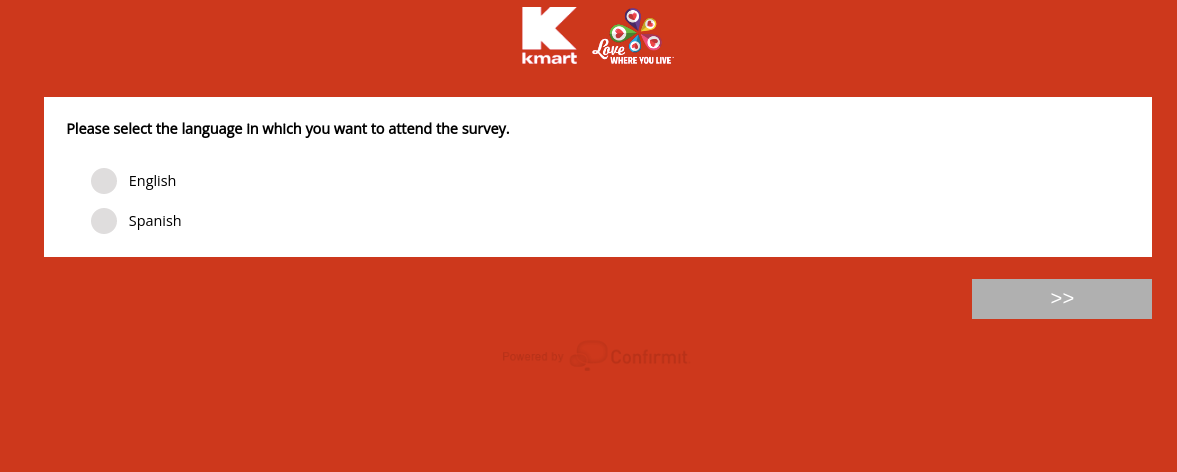 kmart customer survey